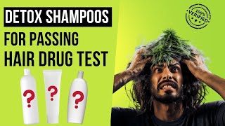 Most Effective Hair Detox Shampoos for Passing Hair Follicle Drug Test in 2024 [upl. by Lemmuela]