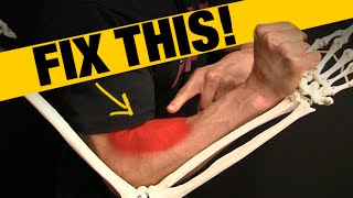 How to Fix Forearm Pain and Tightness QUICK STRETCH [upl. by Hillinck342]