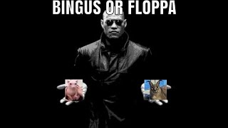 Bingus vs Big floppa [upl. by Aekahs]