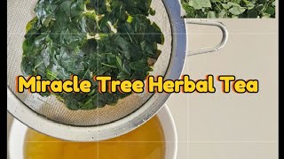 How to Make Moringa Tea  Healing Power of Moringa amp Benefits Of Moringa Oleifera Drumstick shorts [upl. by Jeannette]