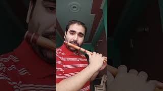 Thodi der l Half Girlfriend flutecover fluteplayer flute trending viralvideo shraddhakapoor [upl. by Eelahc]