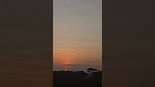 Sun Rise 🌞🌞🌞 music song bollywood [upl. by Ecnerwal]