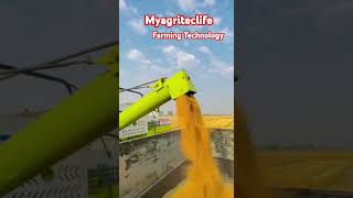 Wheat Harvesting Technology  Farmer  Farming  Agriculture myagriteclife [upl. by Margit563]