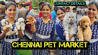 Cheapest pet market  HEAVY PRICE DROP Chennai  with Contact details [upl. by Justin]