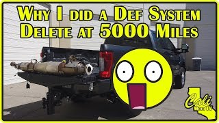 2019 Ford F250 Superduty 67L Powerstroke DEF amp DPF Delete at ONLY 5000 Miles [upl. by Lucy]