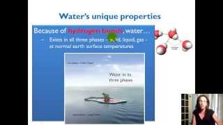 Unique Properties of Water [upl. by Alohcin]