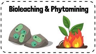 Bioleaching amp Phytomining Alternative Methods of Extracting Metals  GCSE Chemistry Revision [upl. by Nolrev]