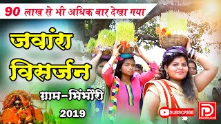 jawara visarjan bhimbhouri  जंवारा विसर्जन ग्राम भिंभौरी बेरला [upl. by Larred]