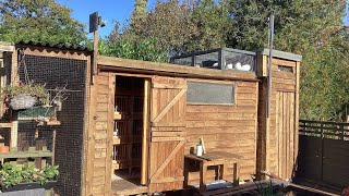 Tippler pigeon loft and kit box measurements [upl. by Anilesor]