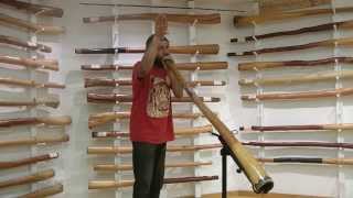 How To Imitate Animal Sounds On The Didgeridoo [upl. by Schaffer]