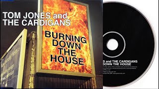 Tom Jones amp The Cardigans  Burning Down The House Pepe Deluxé Remix [upl. by Anayk]