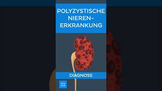 Polyzystische Nierenerkrankung PKD Diagnose  Kenhub shorts [upl. by Ydnim573]