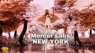 Discover Mercer Labs New York Museum of Art and Technology [upl. by Nedah]