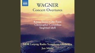 Concert Overture No 2 in C Major WWV 27 [upl. by Ettevy3]