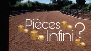 COMMENT FAIRE LE BUG DES PIÈCES INFINI   Equestrian The Game [upl. by Akemehc]