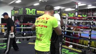 Nieky Holzken working the pads with Jeff Mayweather [upl. by Prochoras]