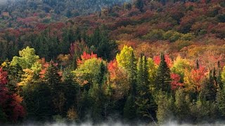 Autumn in the Adirondacks [upl. by Barton]