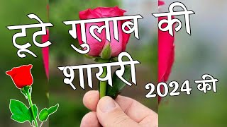 टूटे गुलाब की शायरी 2024 🌹Tute Gulab Ki Shayari 🌹 Gulab Shayari [upl. by Armillia]