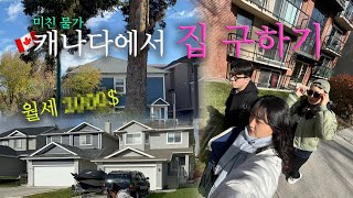 🇨🇦캐나다 워홀 집 구하기🏠캐나다 물가ㅣ캘거리 워킹홀리데이ㅣ 캐나다 집 값🤑 [upl. by Enneles599]