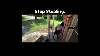 Amazon porch pitate shits himself while trying to steal neighbors package  Must See 😂 [upl. by Uzial]