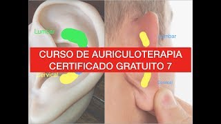 Curso Auriculoterapia gratuito 7 dolor de espalda [upl. by Nabla]