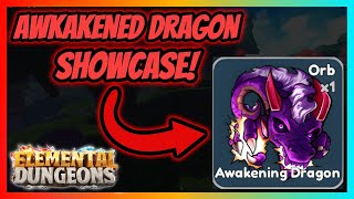 Awakened Dragon Showcase  Elemental Dungeons [upl. by Shirlene]