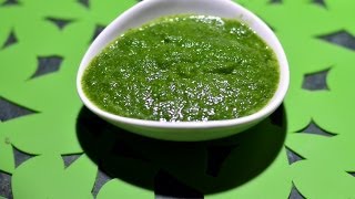 Mint Chutney  Gurus Cooking [upl. by Normandy]