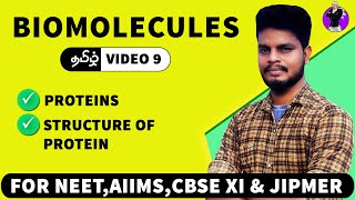 Proteins amp its Structure  Biomolecules in Tamil 9 [upl. by Atnauq]