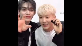 Hoshi dan segala kerandimanya seventeen carat svt [upl. by Yekcin]