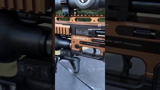 FX Impact M4 The Evolution of Airgun Precision [upl. by Hadley]