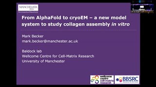 From AlphaFold to cryoEM a new model system to study collagen assembly in vitro  Mark Becker [upl. by Mauceri557]