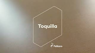 Toquilla [upl. by Sessylu]