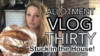 ALLOTMENT VLOG 30  Talking Vermiculite Field Beans and Borlotti Stew [upl. by Mat]