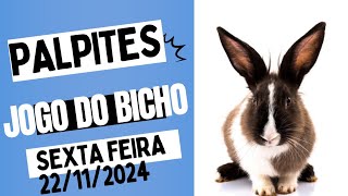 Palpites do dia 22112024 JOGO DO BICHO TODAS AS LOTERIAS [upl. by Penelope]