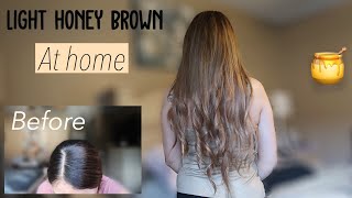 How to Light Honey Brown Hair 🍯 ✨ [upl. by Ardnalac]