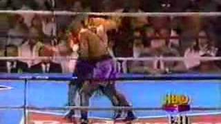 Pernell Whitaker vs Jorge Paez Part One [upl. by Aselehc481]