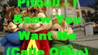 Pitbull  I Know You Want Me lyrics  mixed chipmunks [upl. by Latif453]