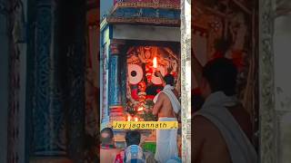 Jay Jagannath 🙏❤️ New Bhajan 2024 rajeshvlogs jagannath viralvideo trending shorts [upl. by Gnuj]