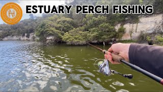 Sunday afternoon estuary perch fishing  huntNhook [upl. by Javler]