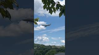 Gulfstream G200 Galaxy landing at KPIT aviation spotter airplane spotting [upl. by Ynettirb]