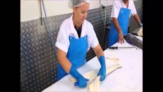 How to Fillet a Catfish  Easy and Simple Catfish Filleting [upl. by Eixam]