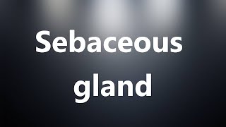 Sebaceous gland  Medical Meaning and Pronunciation [upl. by Zaslow]