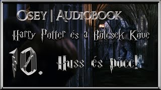 Harry Potter és a Bölcsek Köve hangoskönyv  10 fejezet [upl. by Ainuj]