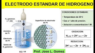 ELECTRODO ESTANDAR DE HIDROGENO Y POTENCIALES DE REDUCION [upl. by Edac]