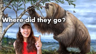 How Did Pleistocene Megafauna Go Extinct GEO GIRL [upl. by Eiahpets]