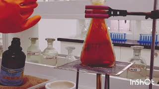 Reaction of Copper metal with Concentrated Nitric Acid [upl. by Notsnhoj128]