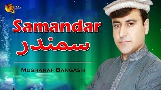 Samandar  Tappey  Musharaf Bangash  Tang Takoor [upl. by Maddox]