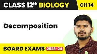 Class 12 Biology Chapter 14  Decomposition  Ecosystem 202223 [upl. by Llenaj]