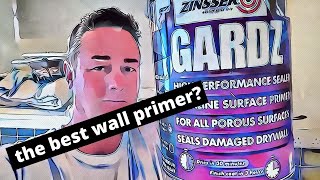 Which Wall Primer Paint  Zinsser Gardz [upl. by Gilford]