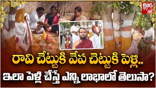 Miracles of Peepal tree amp Margosa tree  రావి చేట్టుకి వేప చెట్టుకి పెళ్లి ఇలా చేస్తే ఎన్ని లాభాలో [upl. by Eyar990]